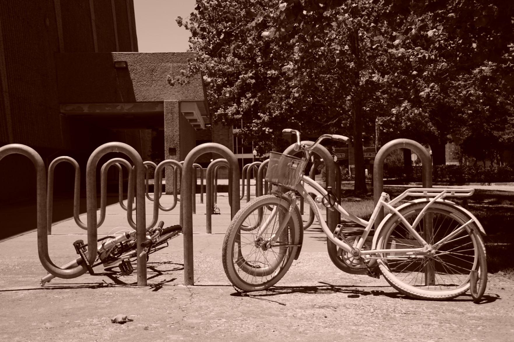 Bicycles